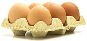 Де купити курячі яйця оптом